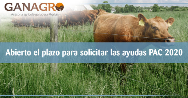 Abierto el plazo para solicitar las ayudas PAC 2020